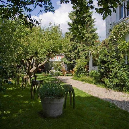Achter Het Witte Huis ユトレヒト エクステリア 写真